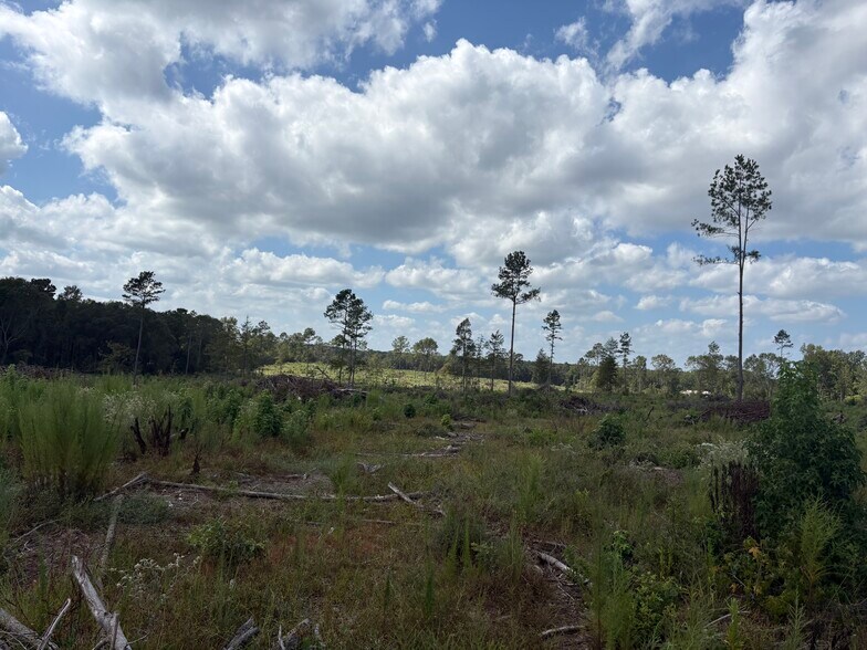 More Photos Of TBD CR 3665 Queen City Texas 20 Acres, Queen City Land For Sale