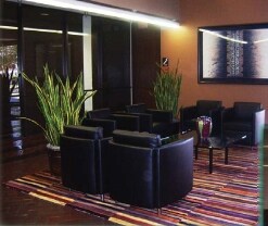 More Photos Of 100 Sandau Rd, San Antonio Office For Lease