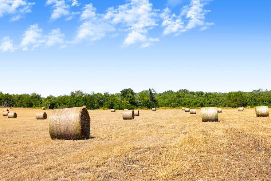 More Photos Of Tor Drive, Seguin Land For Sale