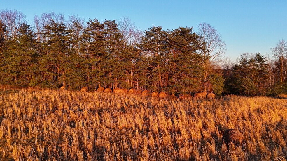 More Photos Of 142 Mace Rd, Casar Land For Sale