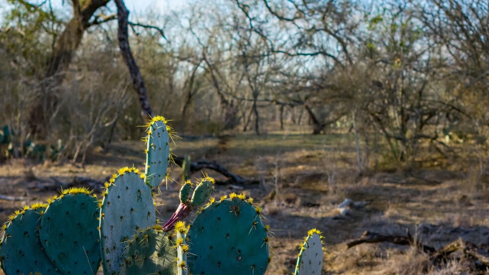 More Photos Of Texas 97, Cost Land For Sale