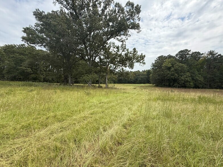 More Photos Of 715 SC-246, Greenwood Land For Sale