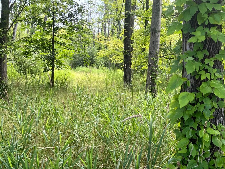 More Photos Of 9595 Horseshoe Island, Clay Land For Sale