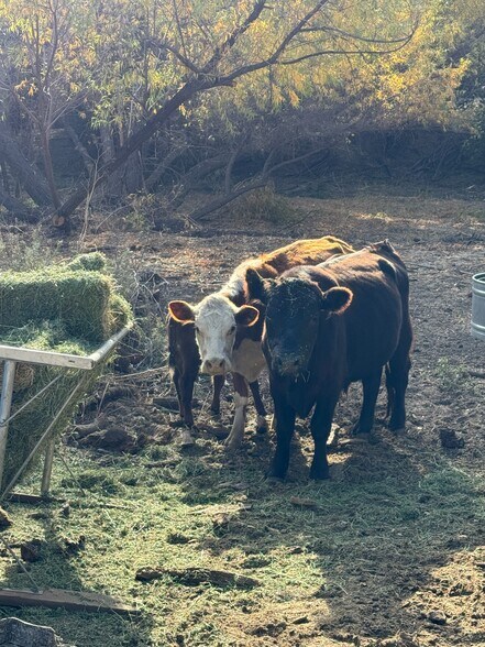 More Photos Of 18890 Old Julian Trail, Ramona Land For Sale