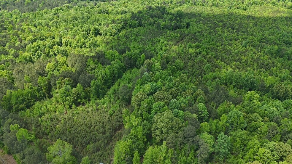 More Photos Of 268 Ogletree Rd, Greenville Land For Sale