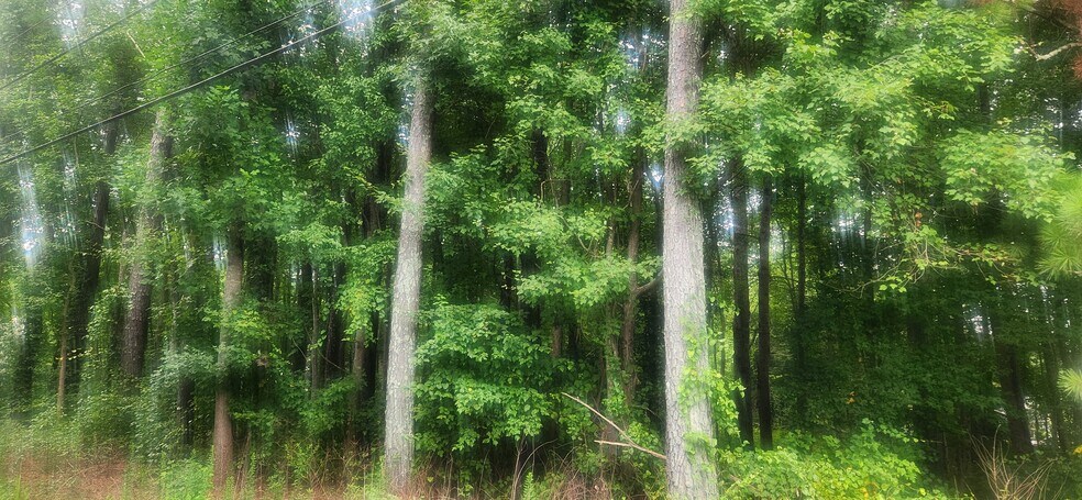 More Photos Of Post Road @ Ephesus Church Road, Douglasville Land For Sale