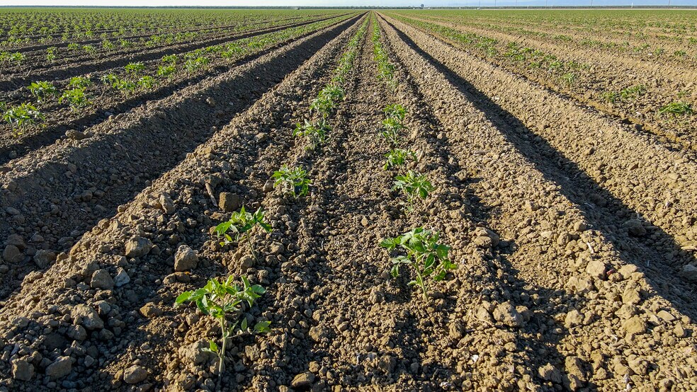 More Photos Of Oakland @ Lassen Avenue, Five Points Land For Sale