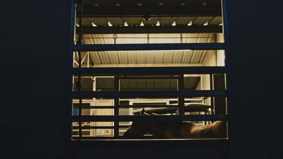 Primary Photo Of 9525 E Graf Ln, Tucson Horse Stables For Sale