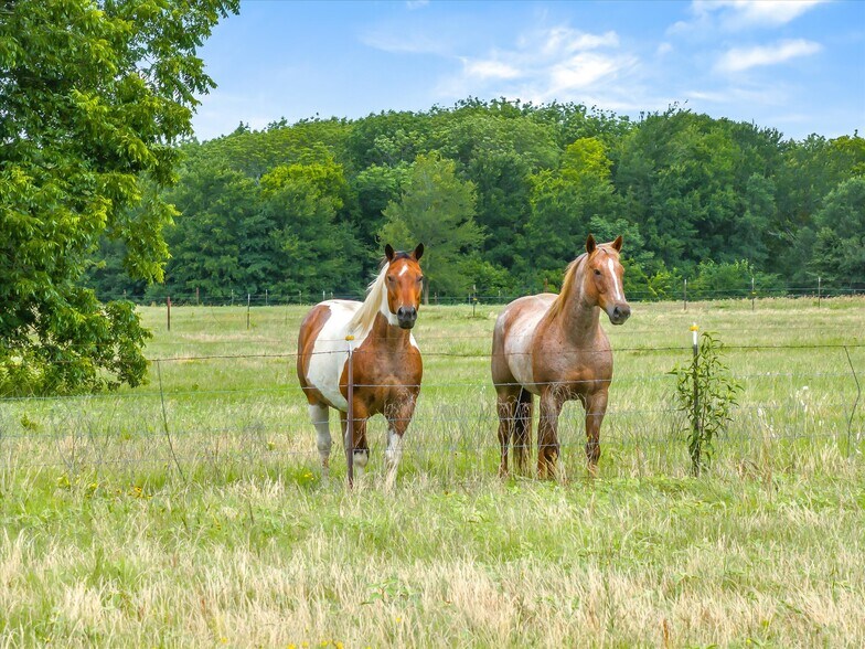 More Photos Of 1745 FM 2737, Lone Oak Land For Sale