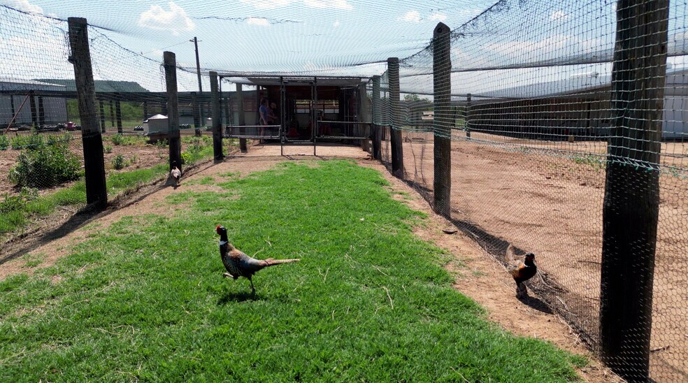 More Photos Of 1200 County Road 108, Santa Anna Specialty For Sale