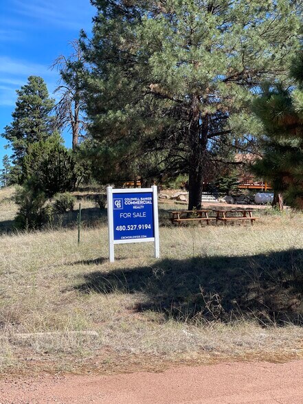 More Photos Of 1992 Twin Pines Trail, Overgaard Restaurant For Sale