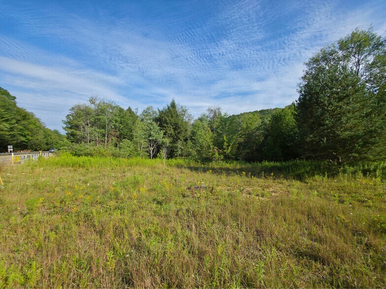 Primary Photo Of State St., Saint Marys Land For Sale