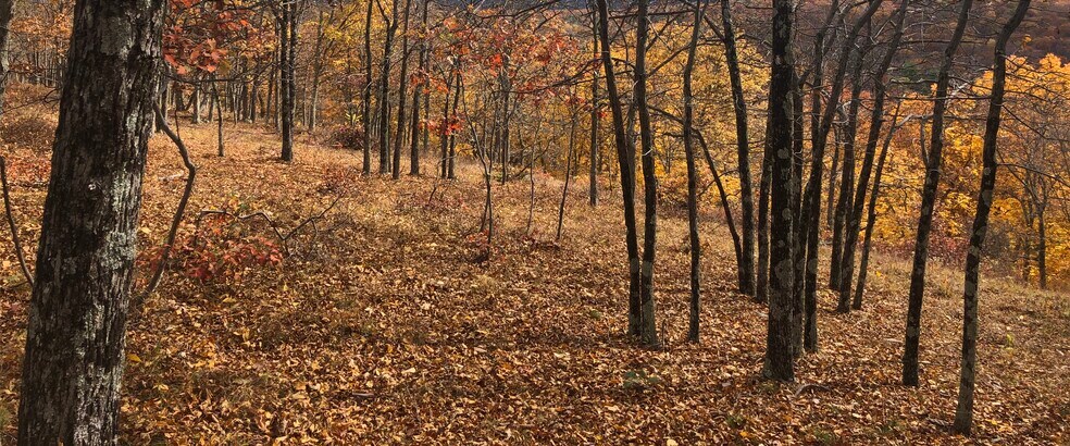 More Photos Of 1216 Dorset, Bushkill Land For Sale