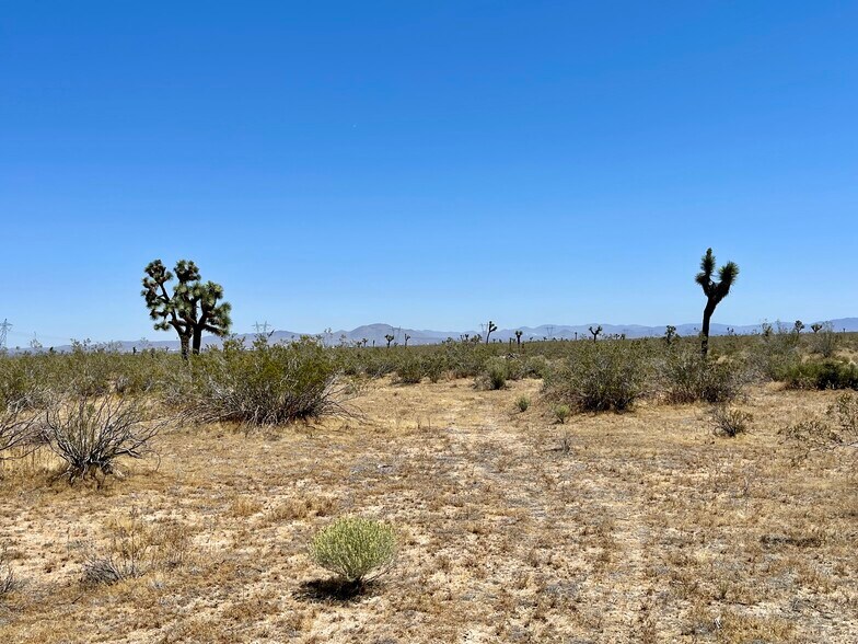 More Photos Of Nevada Rd @ South St., Phelan Land For Sale