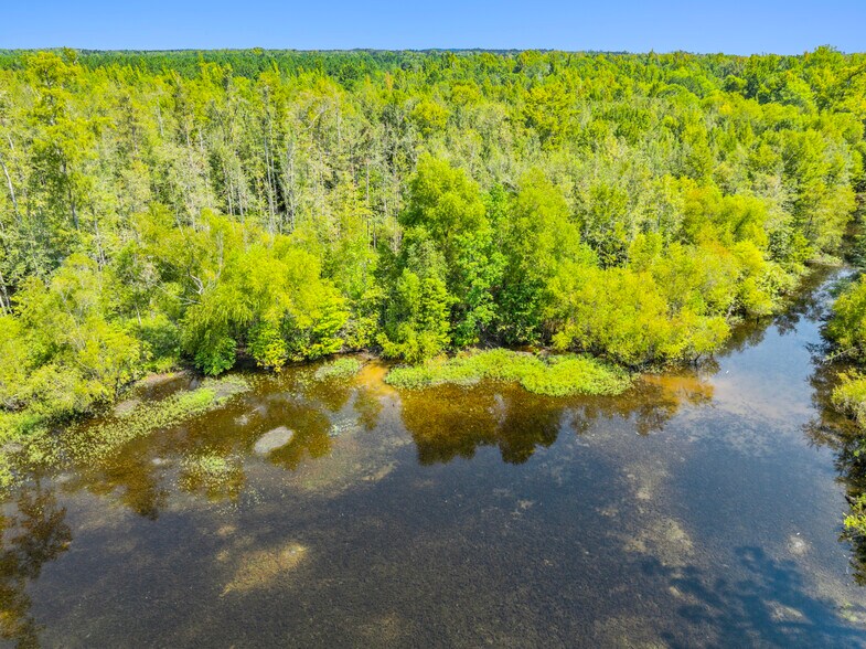 More Photos Of 7471 Highway 155, Saline Land For Sale