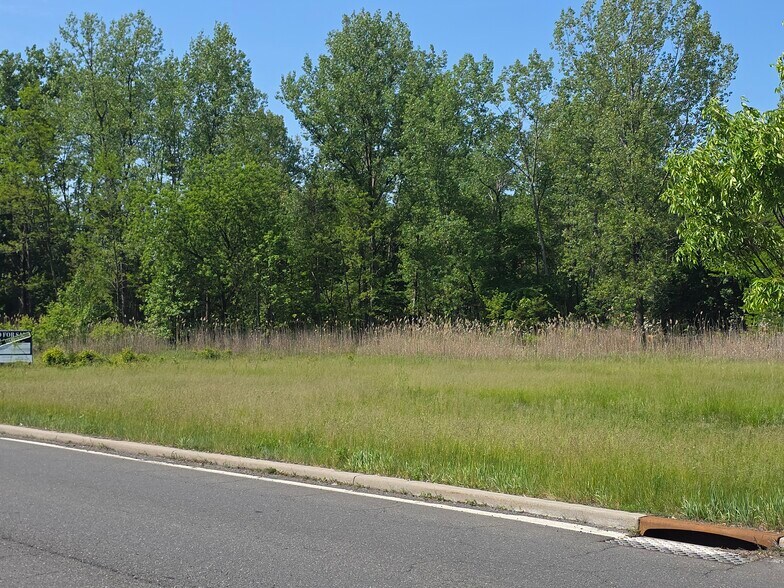 More Photos Of 594 NY-303, Blauvelt Land For Sale