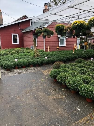 More Photos Of 563 River Rd, New Milford Land For Sale