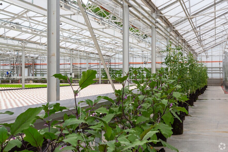 More Photos Of 16 Satterlee Hollow Rd, Berlin Land For Sale