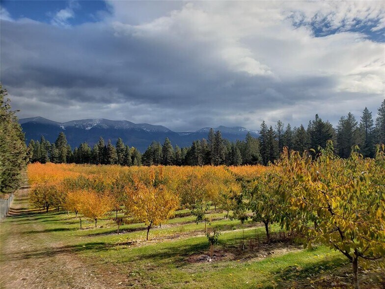 Primary Photo Of 32624 S Finley Point Rd, Polson Specialty For Sale