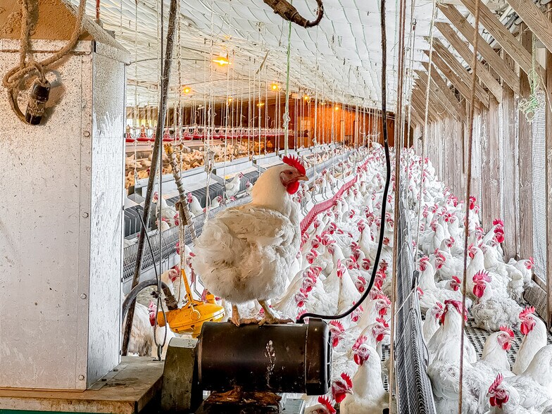 More Photos Of 1291 Myron Hart Rd, Coolidge Land For Sale