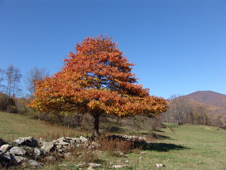 More Photos Of Near Little Washington Virginia, Washington Land For Sale