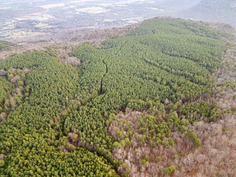 More Photos Of 762 Smith Mountain Rd, Dunlap Land For Sale