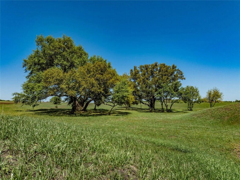 More Photos Of TBD Farm to Market Road 1291, Round Top Land For Sale