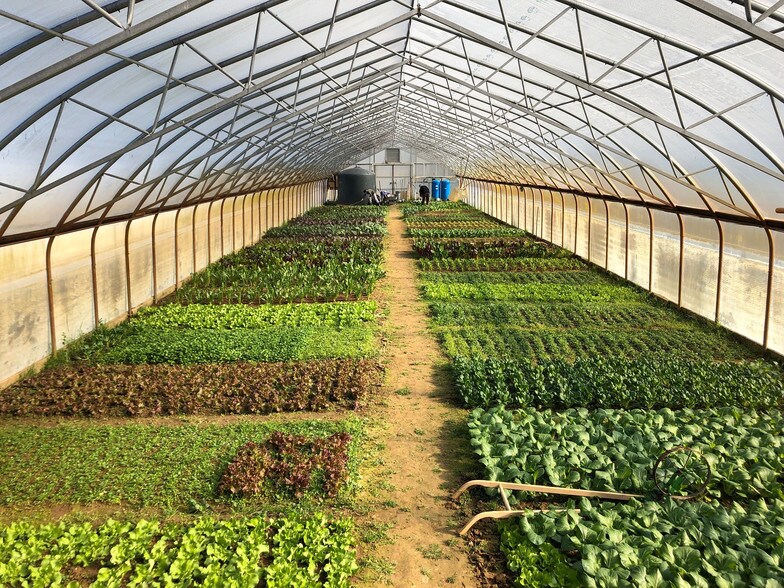 More Photos Of 5996 Augustine Herman Hwy, Cecilton Land For Lease