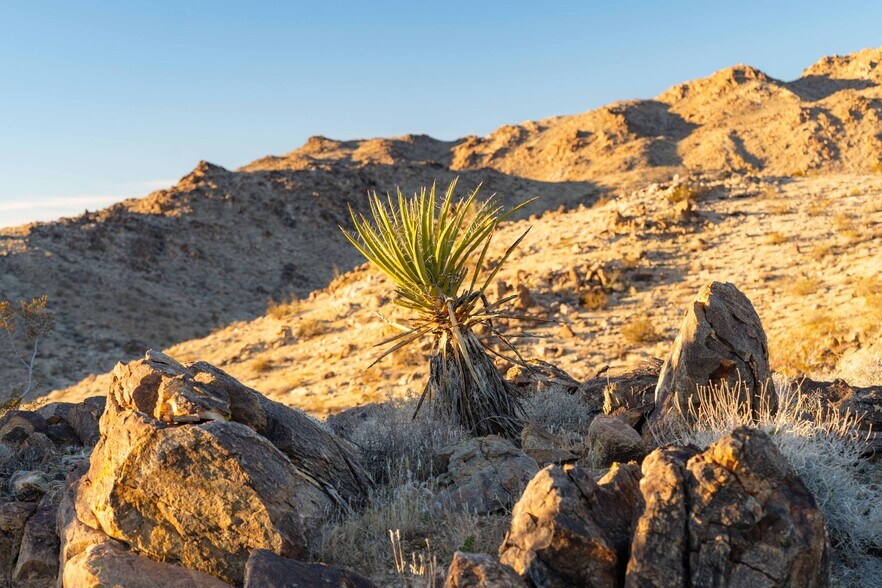 More Photos Of 61271 Calle Los Amigos, Joshua Tree Land For Sale