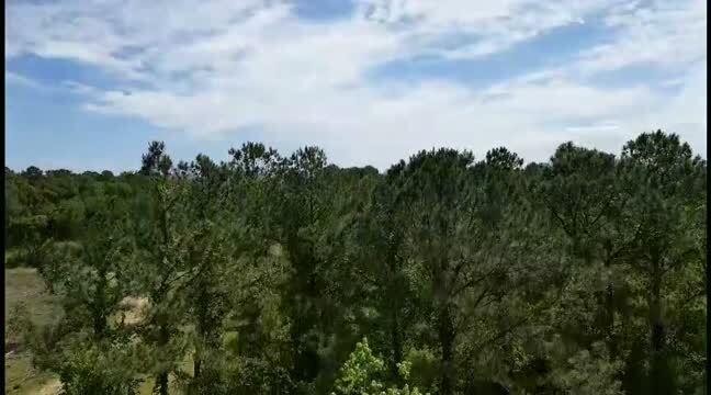 Primary Photo Of 0 Wilmer, Wilmer Land For Sale