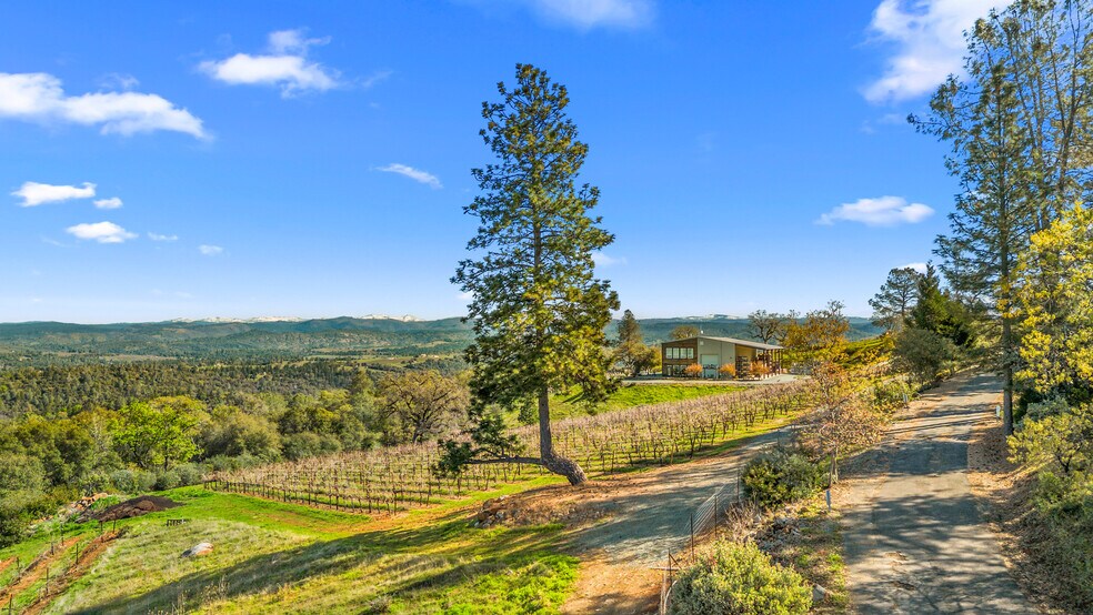 More Photos Of 6781 Tower, Somerset Winery Vineyard For Sale