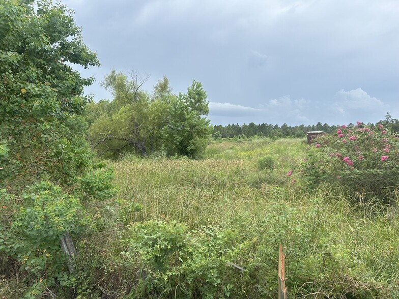 More Photos Of 29913 Waller Spring Creek Rd, Waller Land For Sale