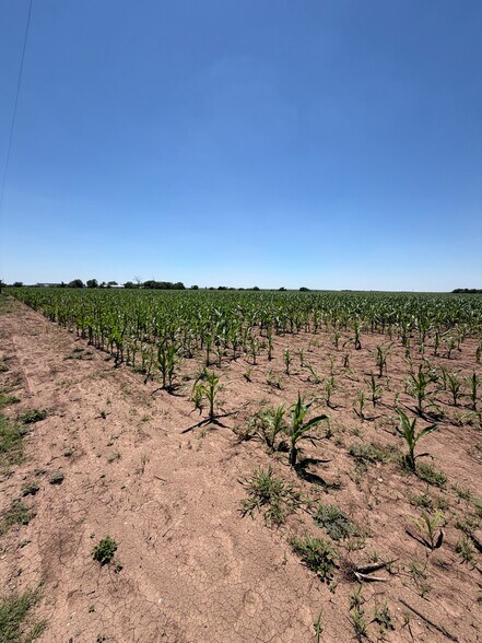 More Photos Of 2702 County Road 531, Hondo Land For Sale