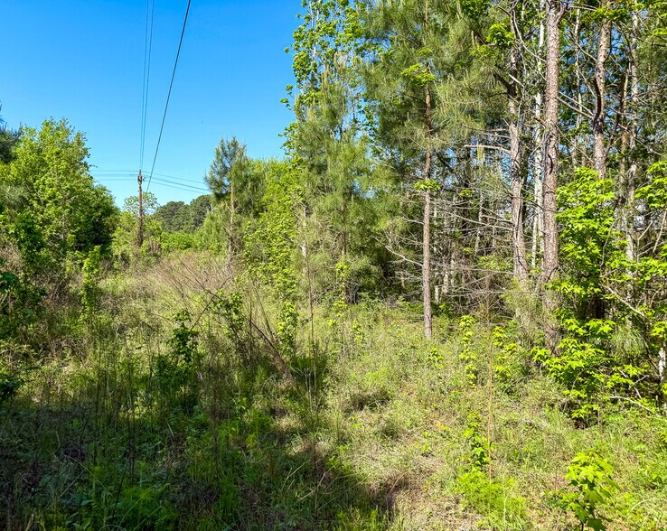 More Photos Of 10.097 Acres, Old Houston Road, Huntsville Land For Sale