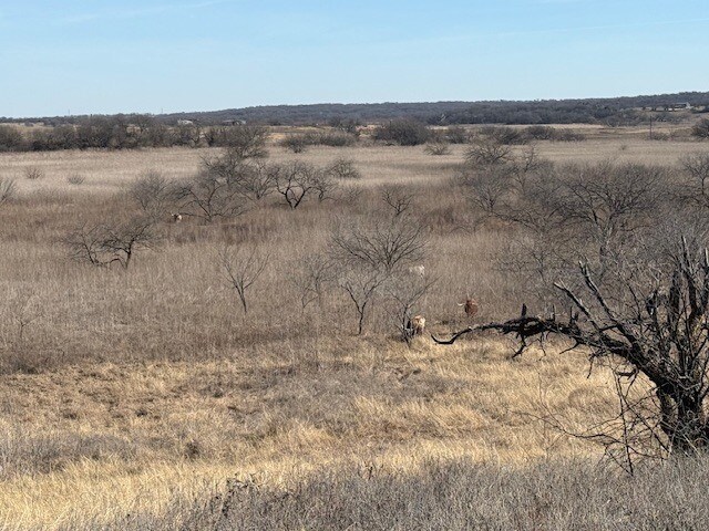 More Photos Of 363 County Road 4403, Grandview Land For Sale