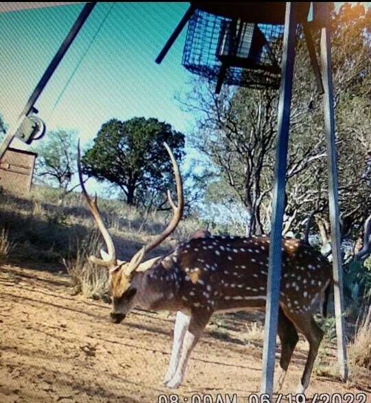 More Photos Of 629 Elliott Rd, London Land For Sale