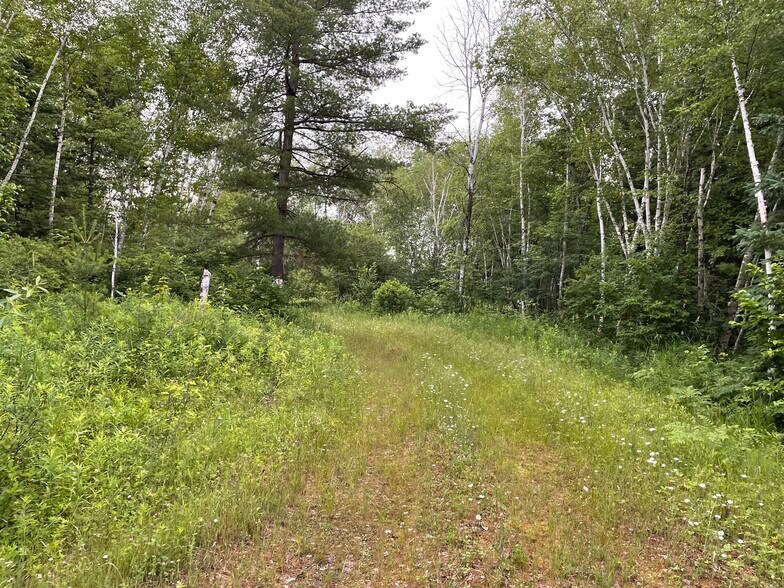 More Photos Of Hogsback Road, Exeland Land For Sale