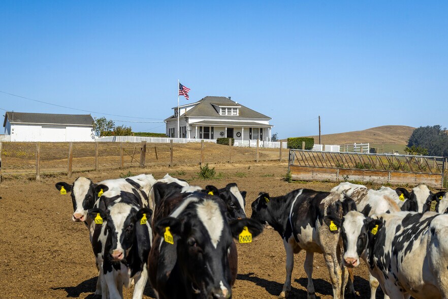 More Photos Of 14550 Valley Ford Estero, Valley Ford Land For Sale