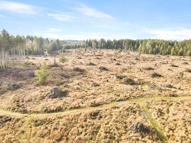 More Photos Of XXX Gravelly Beach Loop, Olympia Land For Sale