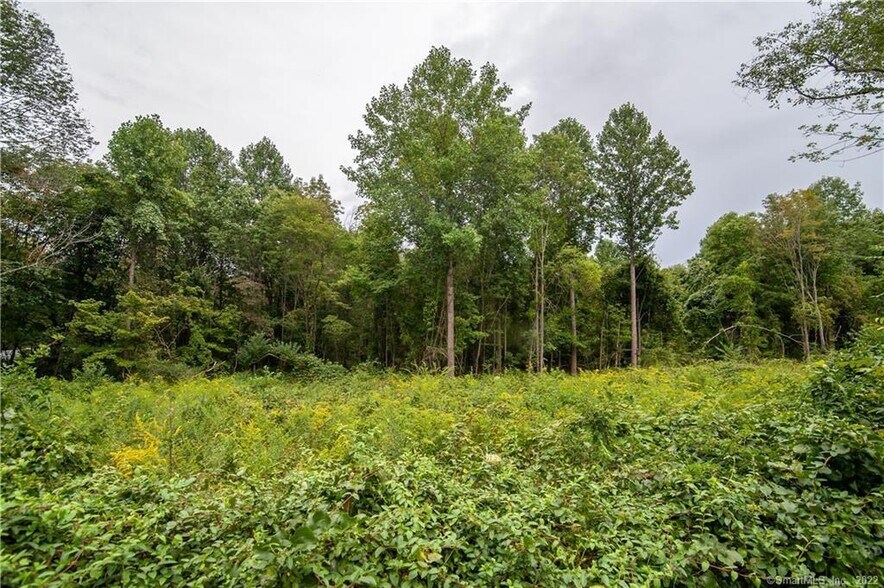 More Photos Of 496 New London Rd, Salem Land For Sale