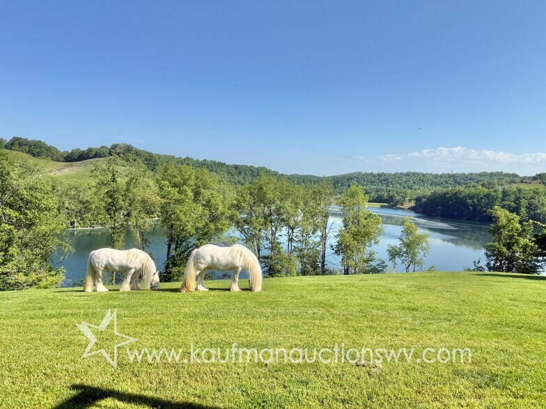 More Photos Of 290 Stonecoal rd, Horner Land For Sale