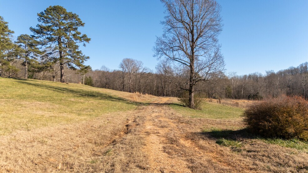 More Photos Of 8 Fornoff Dr, Toccoa Land For Sale