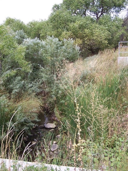 More Photos Of 8501 Huron St, Denver Land For Sale