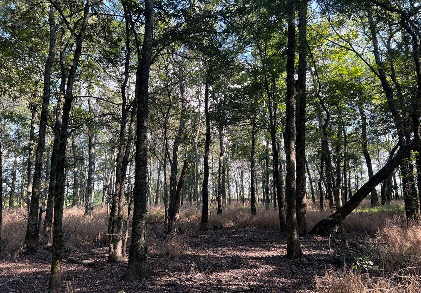 More Photos Of 3306 State Farm Rd, Tucker Land For Sale