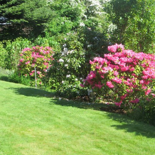 More Photos Of 6605 Sooke Rd, Sooke Land For Sale