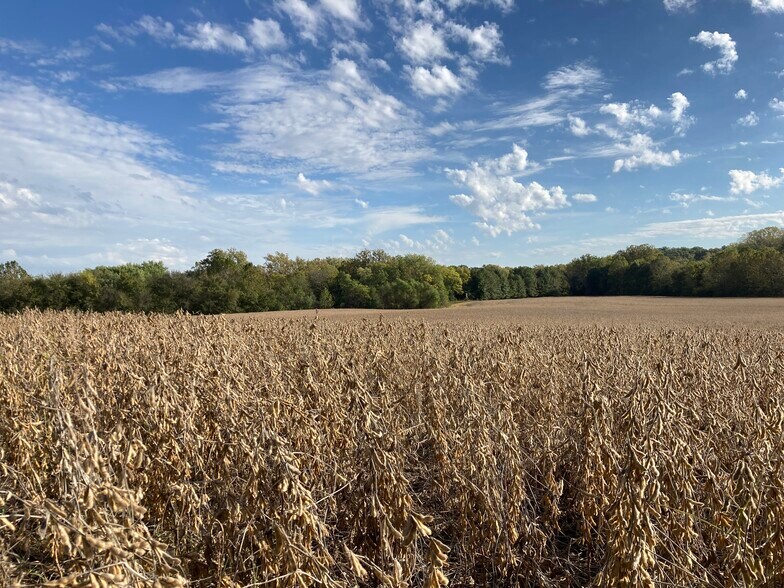 More Photos Of 22413 Highway C, Lawson Specialty For Sale