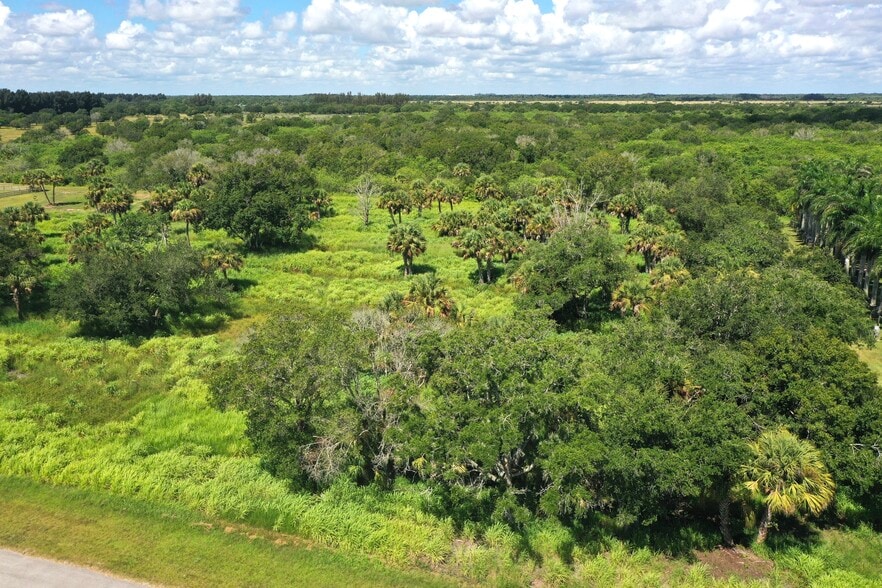 More Photos Of 7750 Hidden Hammock Ln, Vero Beach Land For Sale