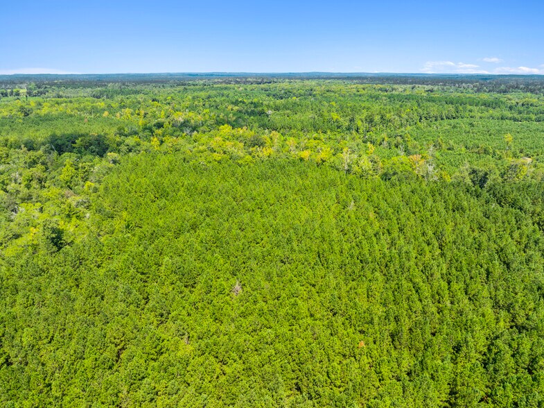 More Photos Of 7471 Highway 155, Saline Land For Sale