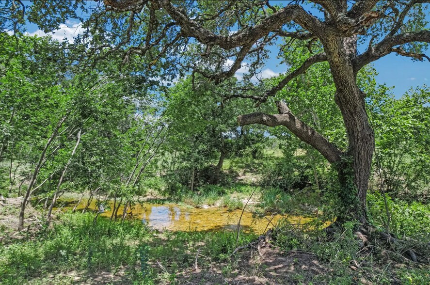 More Photos Of 5150 County Road 254, Bertram Land For Sale