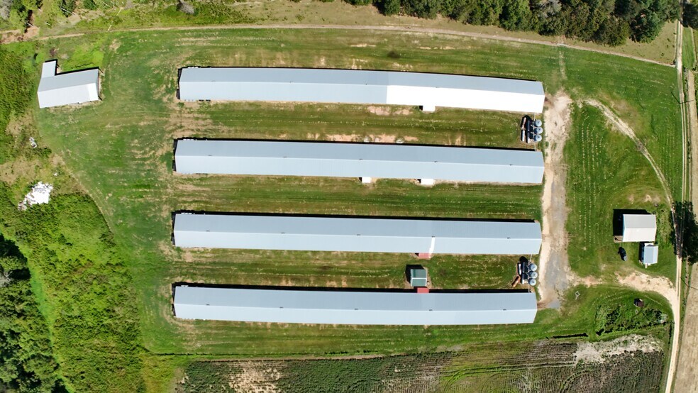 Primary Photo Of 594 Daffodil Ln, Pitts Land For Sale